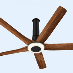 Modern ceiling fan design detail