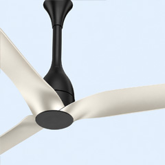 Premium ceiling fan design