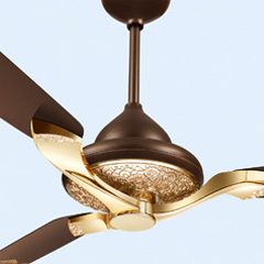 Contemporary ceiling fan design
