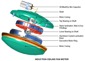 Bldc Vs Induction Motor - IFMA